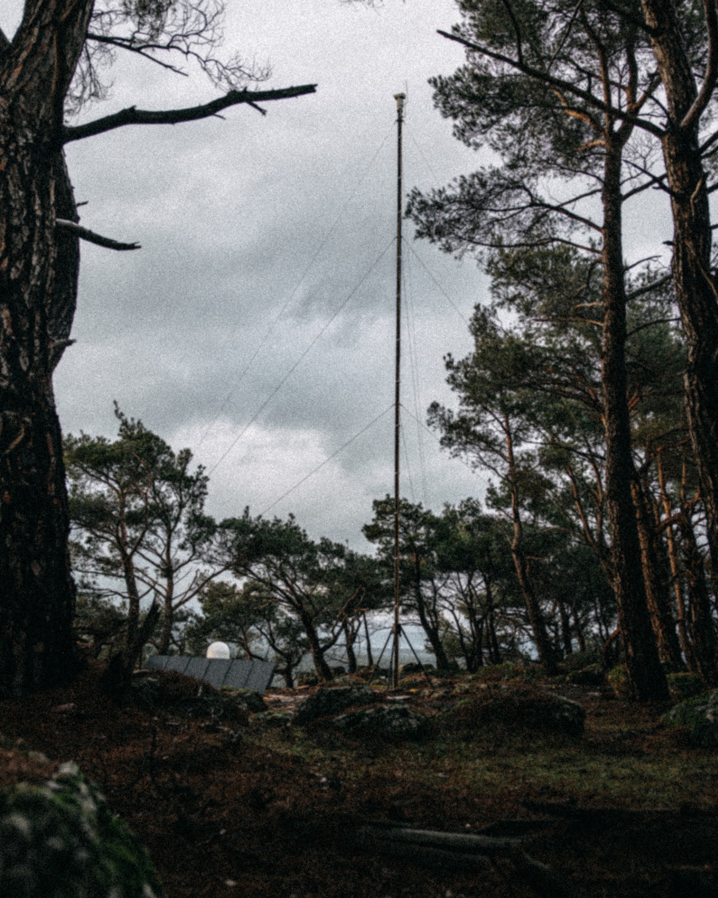 A LAST-Fire mast standing tall among pine trees with a satellite dome and solar panels at its base under an overcast sky